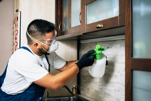 Best Best Pest Control Companies  in Eudora, AR