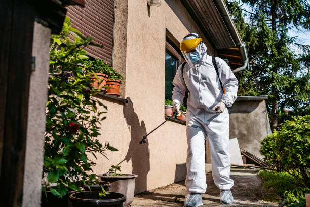 Best Local Pest Control Services  in Eudora, AR