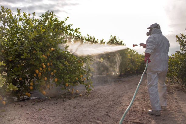 Best Wildlife Control Services  in Eudora, AR