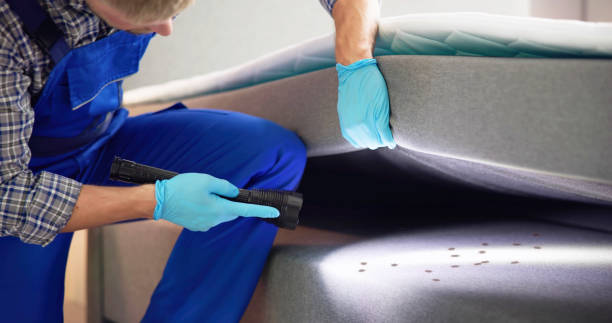 Best Residential Pest Control  in Eudora, AR