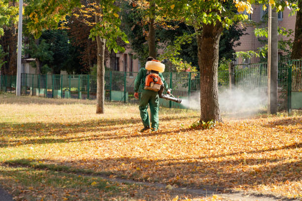 Best Pest Prevention Services  in Eudora, AR