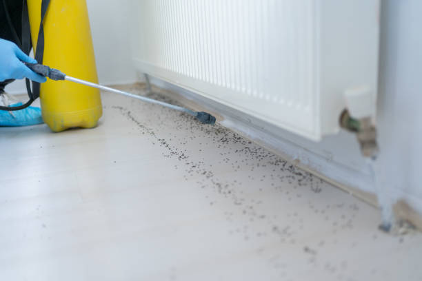Best Affordable Pest Control Services  in Eudora, AR