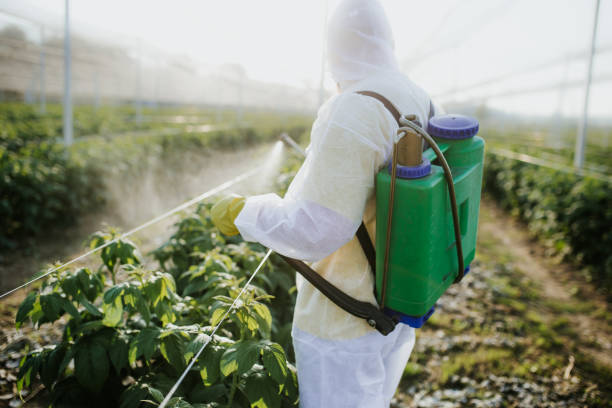 Best Mosquito Control Services  in Eudora, AR